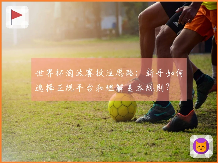 世界杯淘汰赛投注思路:新手如何选择正规平台和理解基本规则?